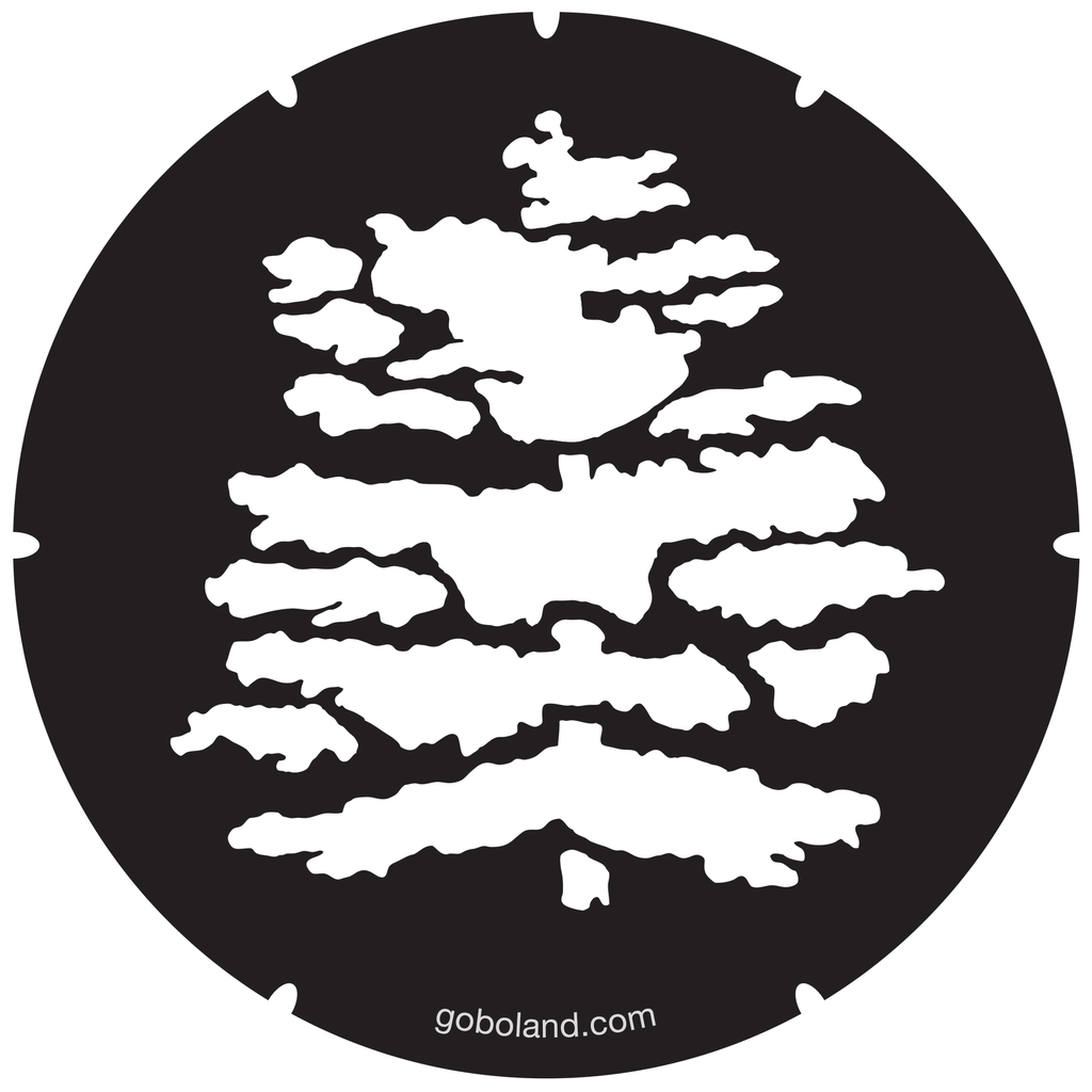 2 261 004 - Cedar