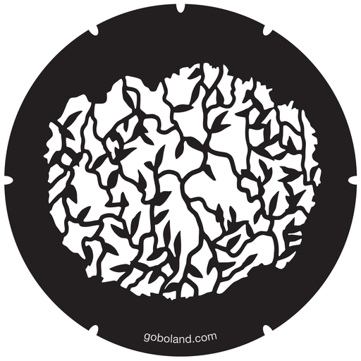 2 260 043 - Vines